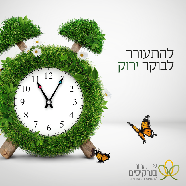 אביסרור- מיתוג שכונת נרקיסים